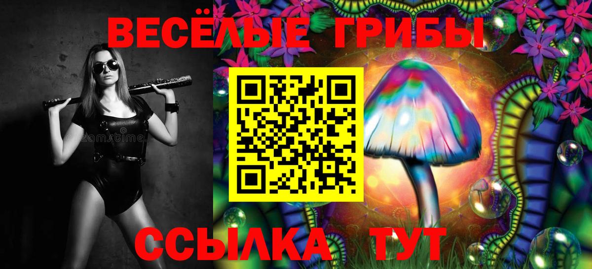 Галлюциногенные грибы Psilocybine cubensis  Вход с VPN  Псилоцибиновые грибы мухоморы  Медногорск 